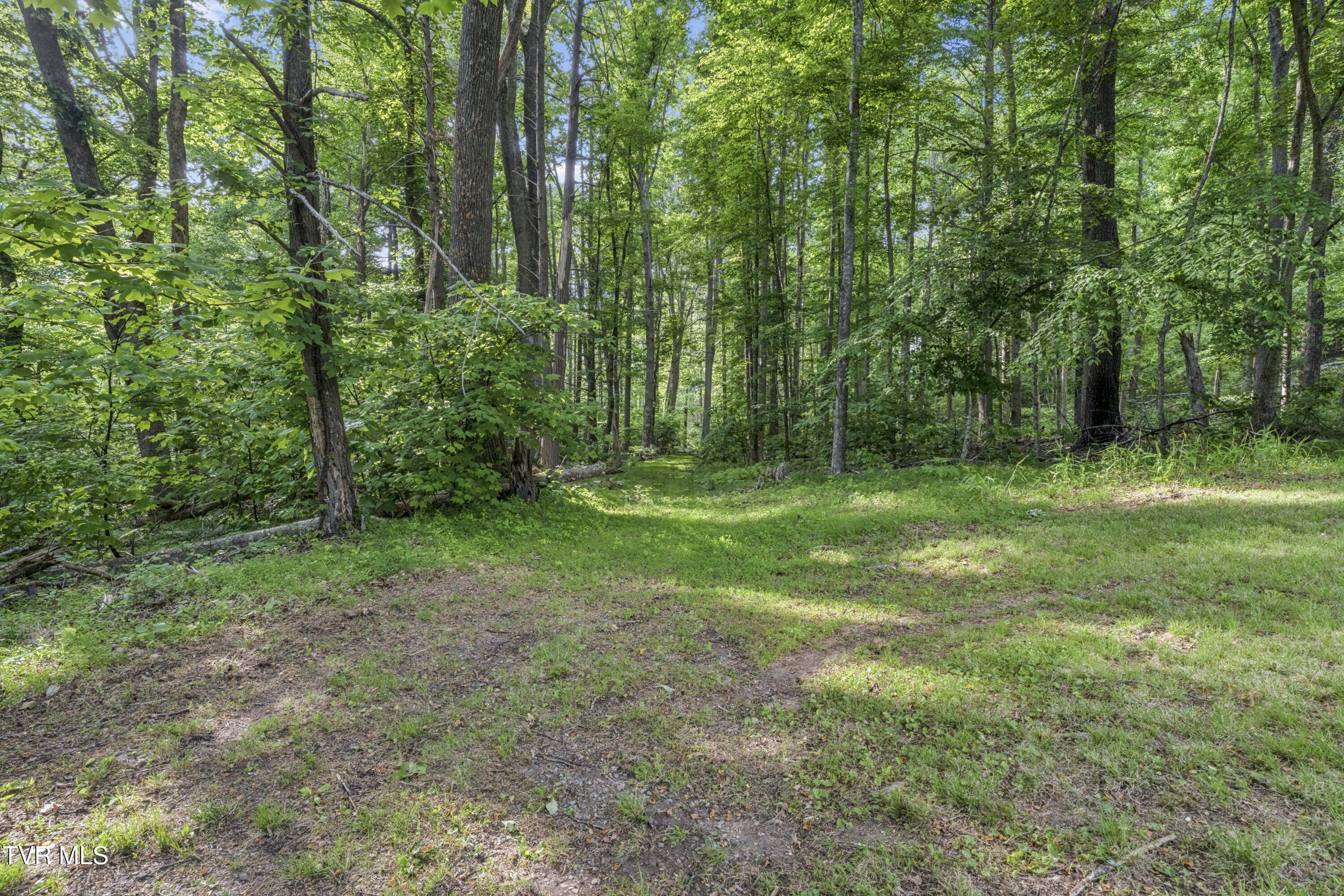 128 Lum McIntosh Road Erwin, TN 37650 - Photo 59 of 106 LumMc--67