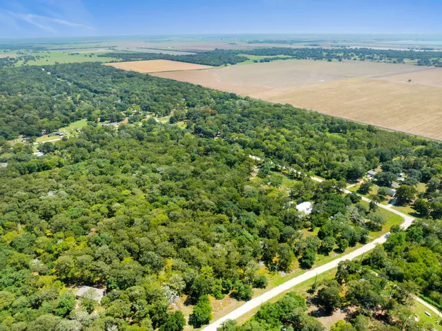 a view of a garden with an outdoor space