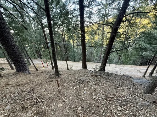 a view of outdoor space with deck and trees