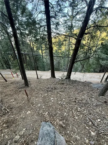 a view of a yard with a tree