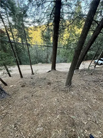 a view of a lake from a yard