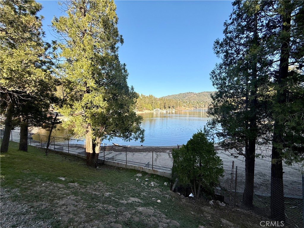 0 Scenic View Drive Crestline, CA 92325 - Photo 19 of 25 a view of a garden with trees