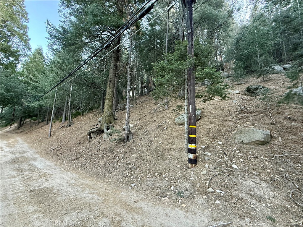 0 Scenic View Drive Crestline, CA 92325 - Photo 2 of 25 a green field with lots of trees