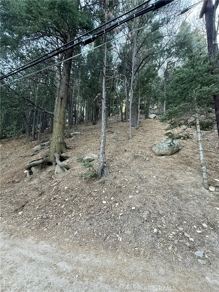 0 Scenic View Drive Crestline, CA 92325 - Photo 4 of 25 a view of a forest with trees in the background