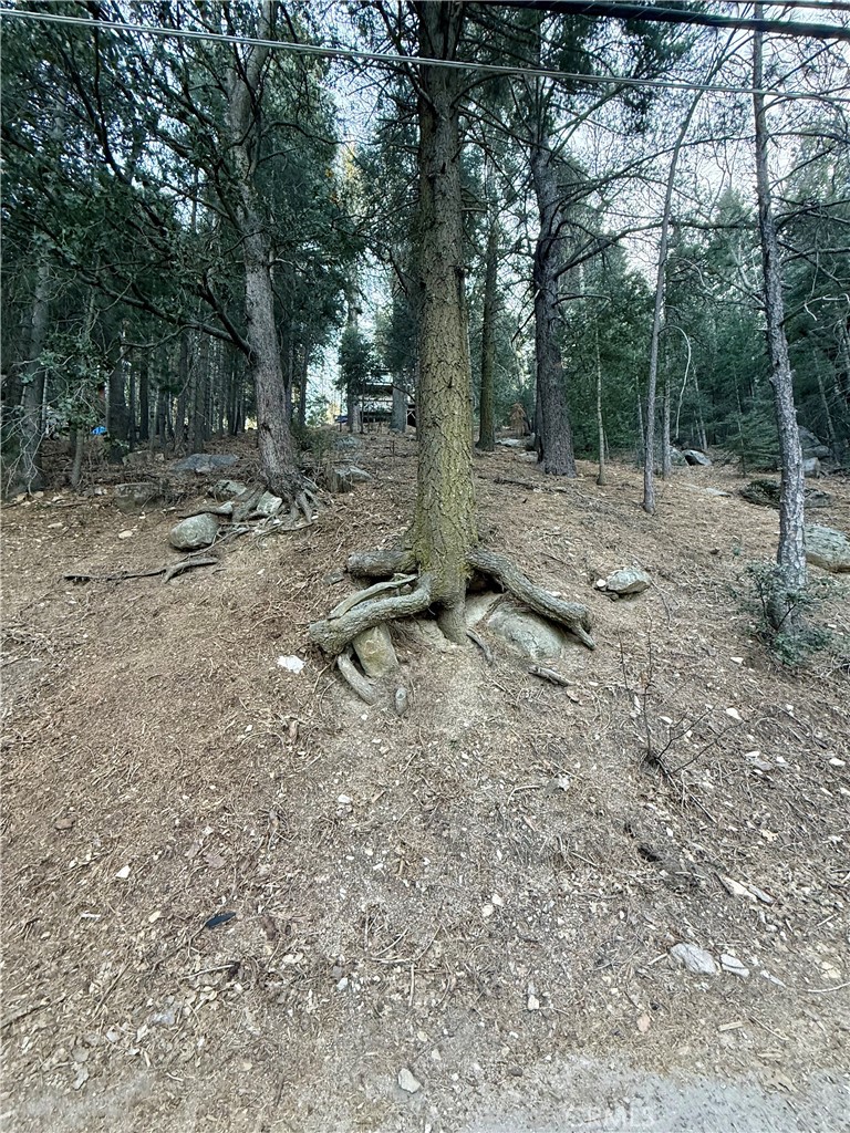 0 Scenic View Drive Crestline, CA 92325 - Photo 5 of 25 a view of a forest with trees in the background