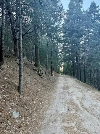 a view of outdoor space with trees