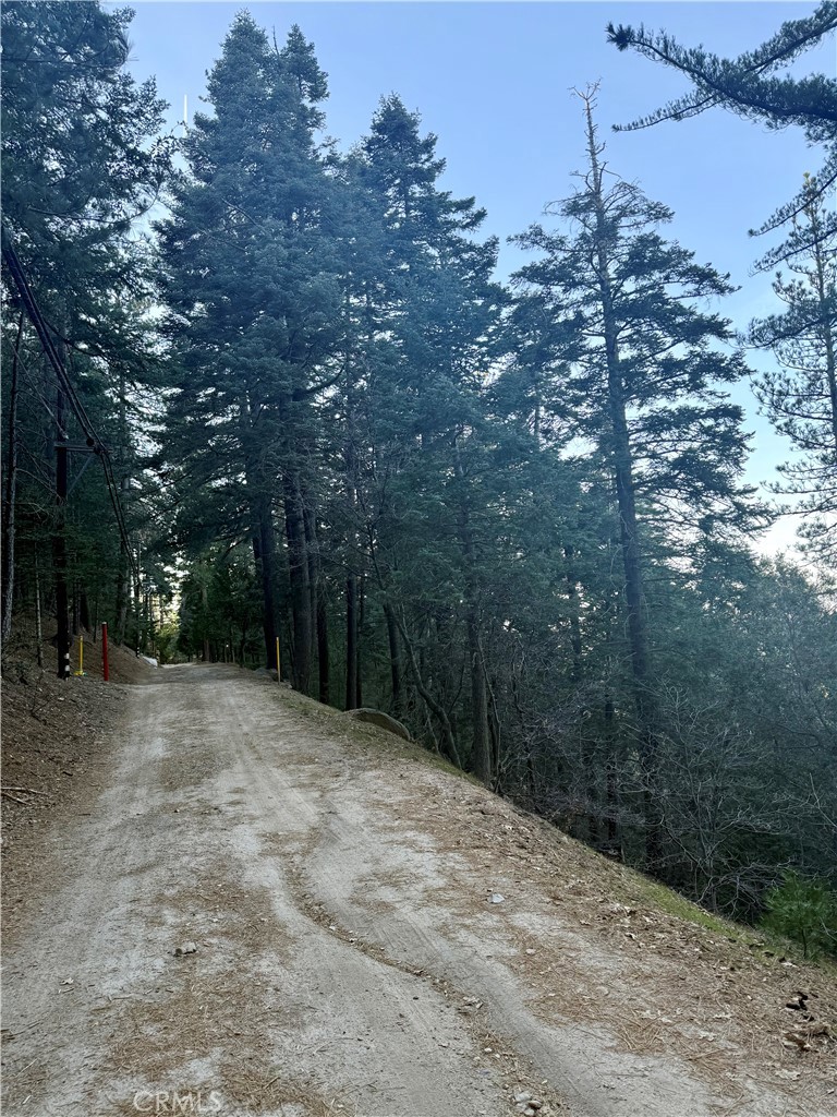 0 Scenic View Drive Crestline, CA 92325 - Photo 8 of 25