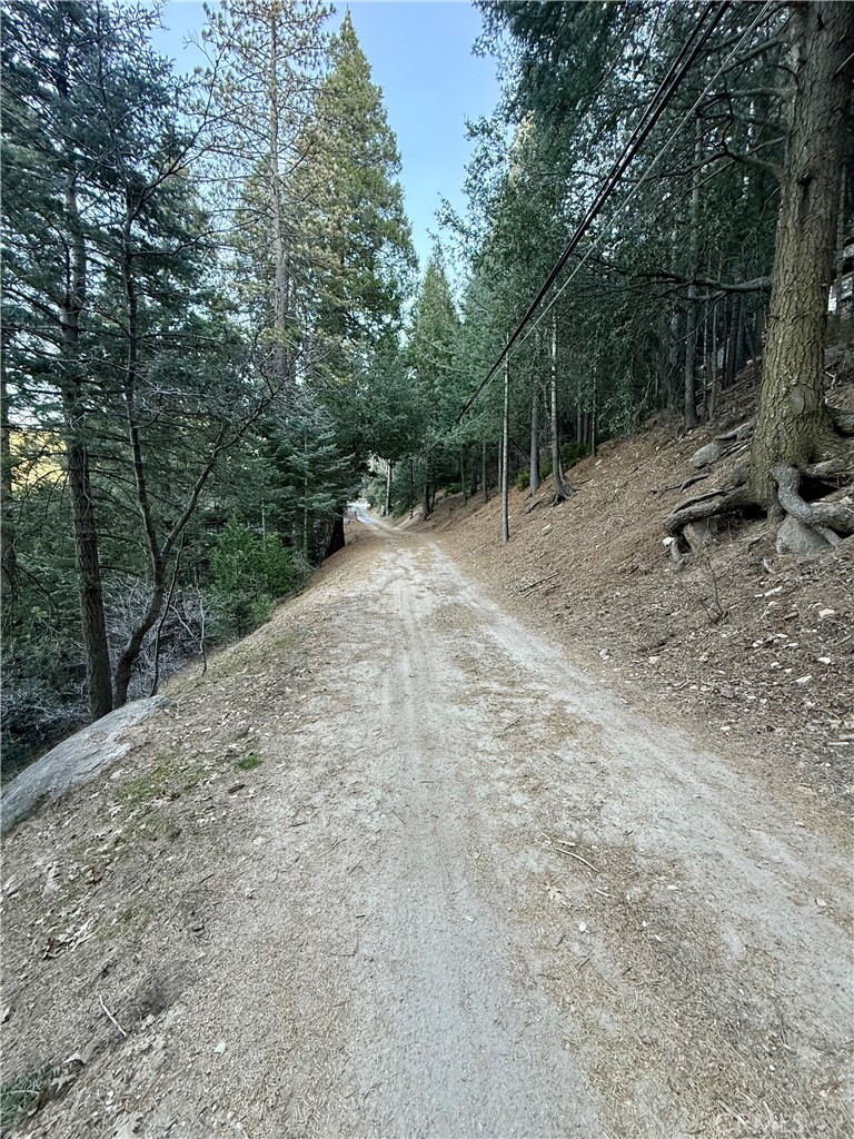 0 Scenic View Drive Crestline, CA 92325 - Photo 9 of 25 a view of a forest with trees in the background