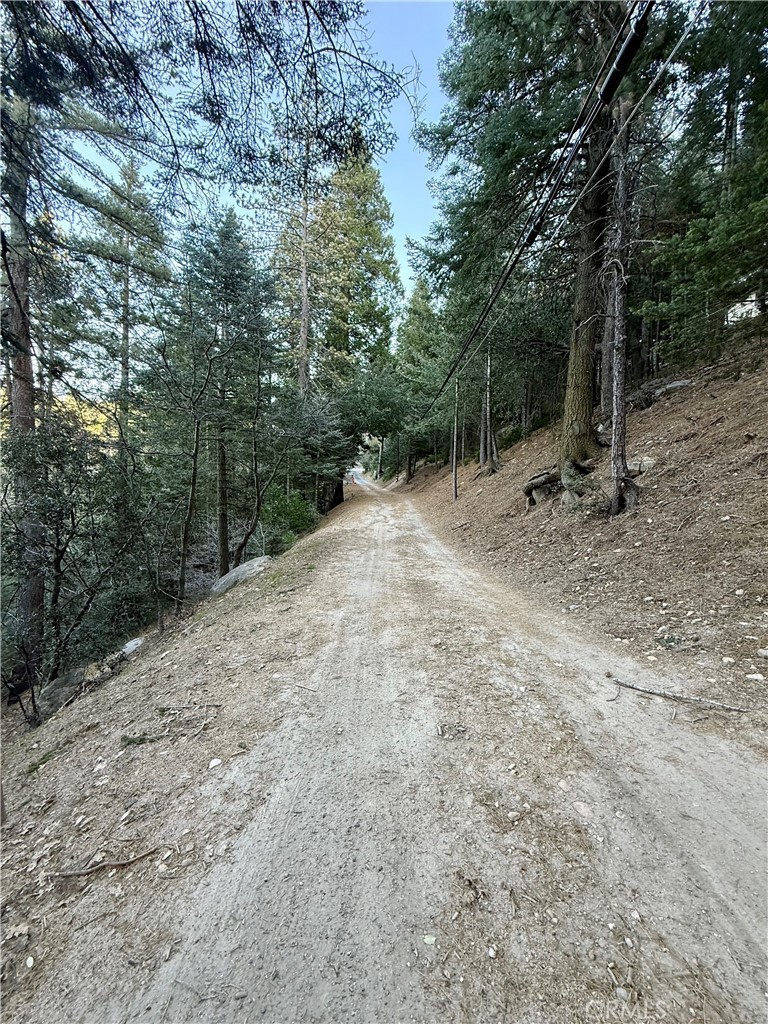0 Scenic View Drive Crestline, CA 92325 - Photo 10 of 25 a view of a forest with trees in the background