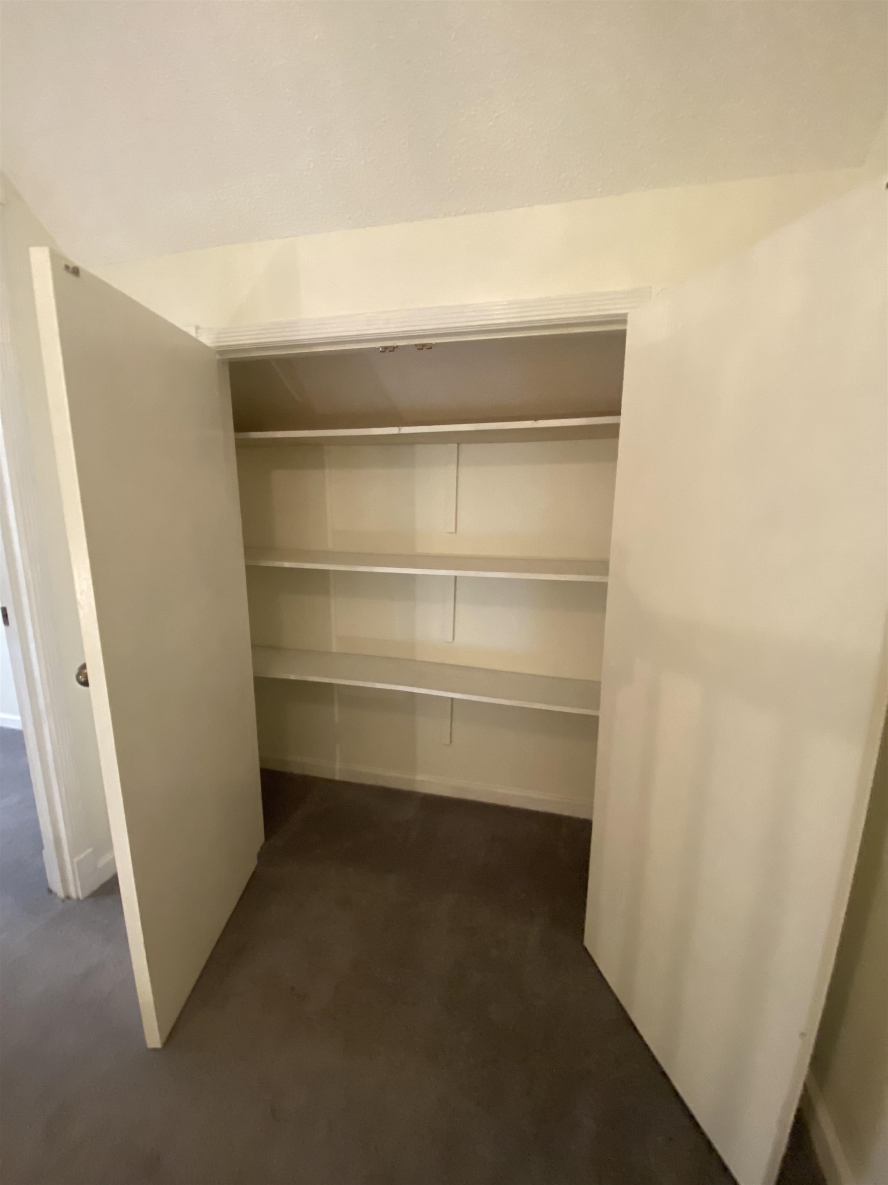 339 Dove Valley Road Collierville, TN 38017 - Photo 17 of 20 a view of an empty walk in closet