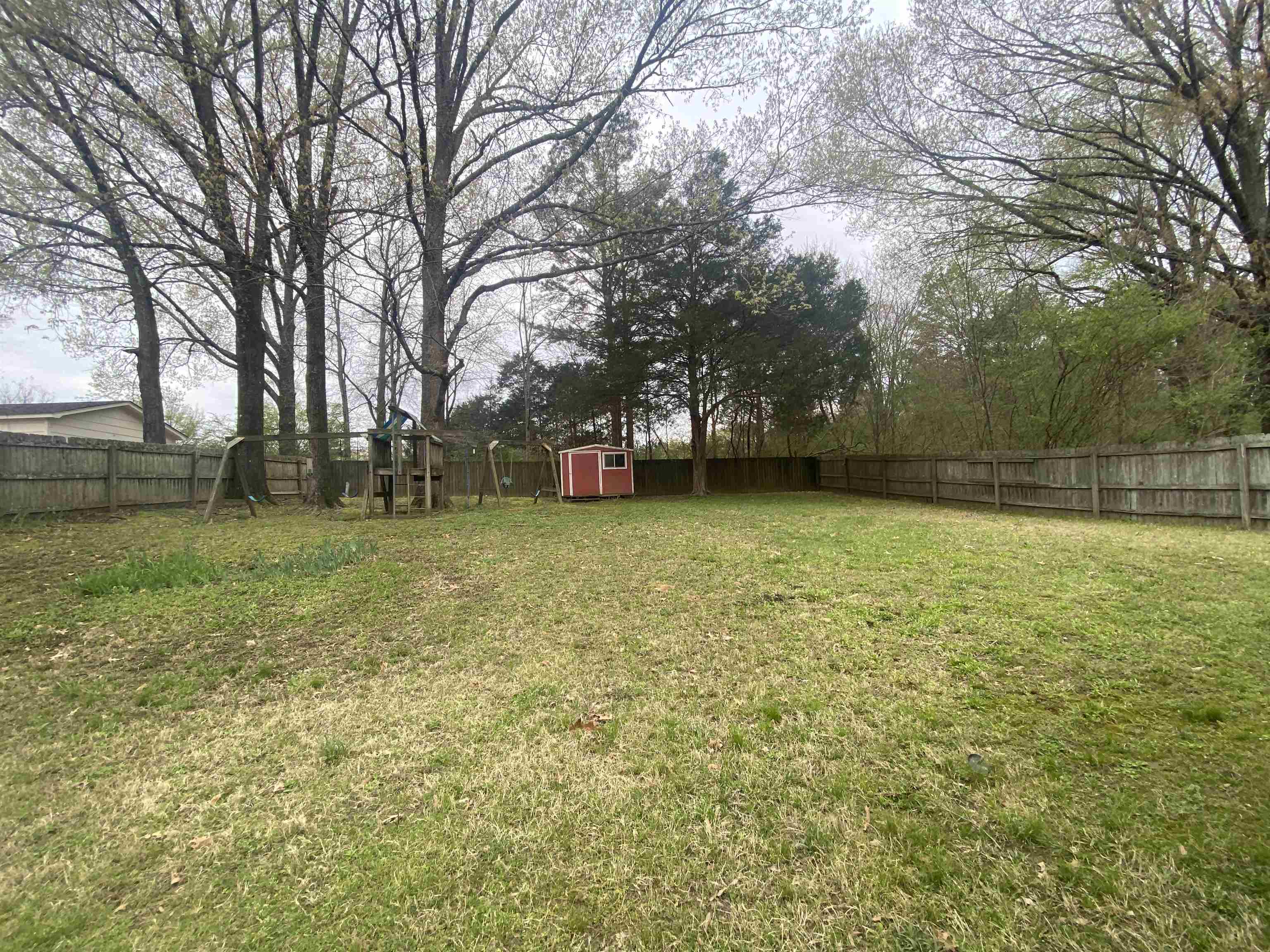 339 Dove Valley Road Collierville, TN 38017 - Photo 19 of 20 a view of a yard with a trees