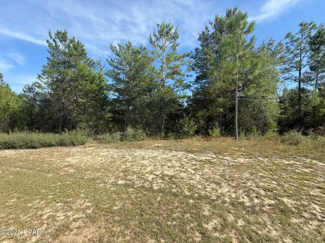 $18,499 | Xxx Shenandoah Boulevard, Unit LOT 4, Chipley, FL 32428