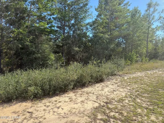 $18,499 | Xxx Shenandoah Boulevard, Unit LOT 4, Chipley, FL 32428