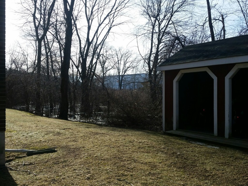 48 Great Road, Unit 22 Acton, MA 01720 - Photo 5 of 18 a view of outdoor space yard and trees