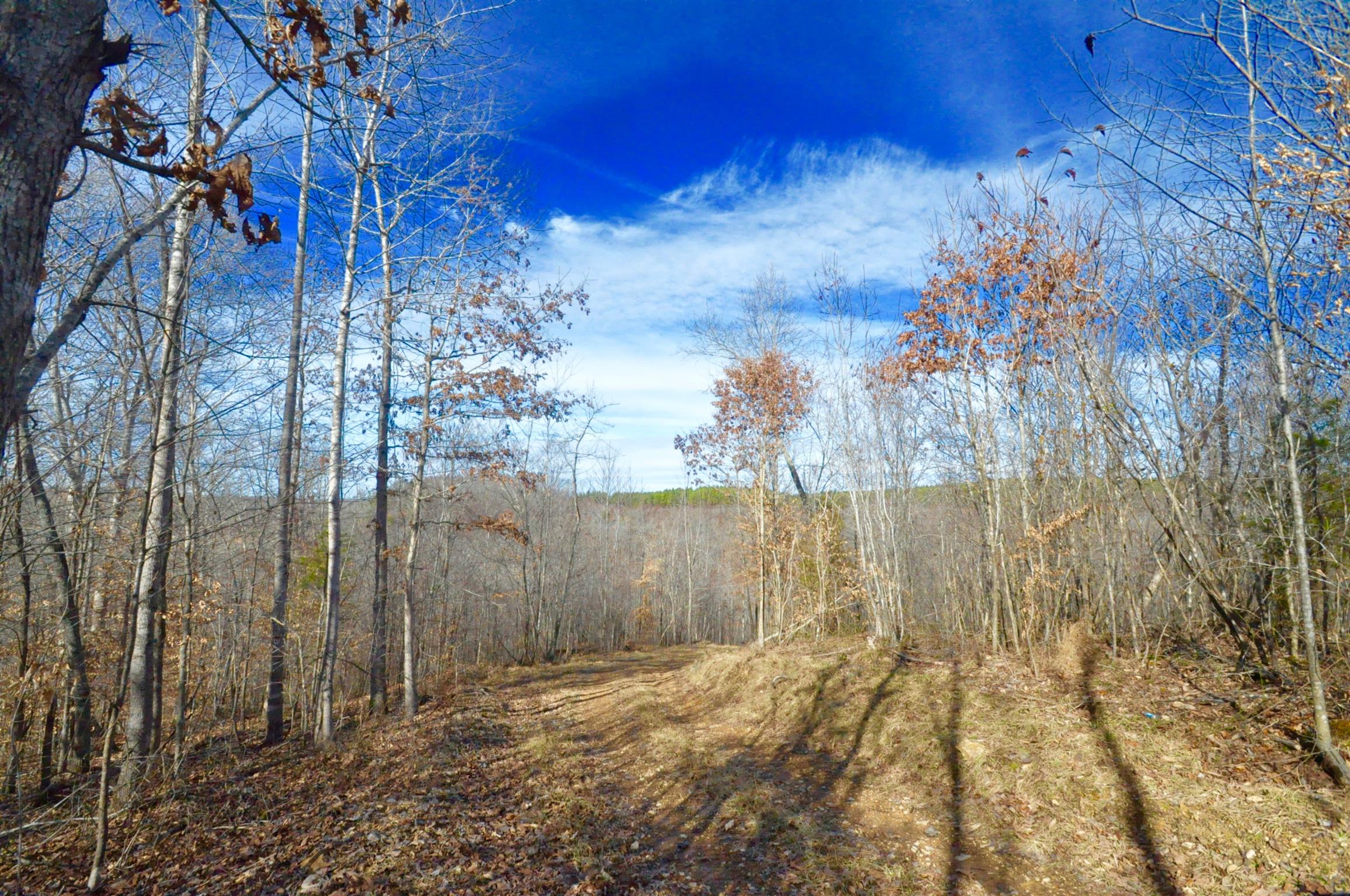 0 Raven's Ridge Road Summertown, TN 38483 - Photo 4 of 18 Gallery Image 4