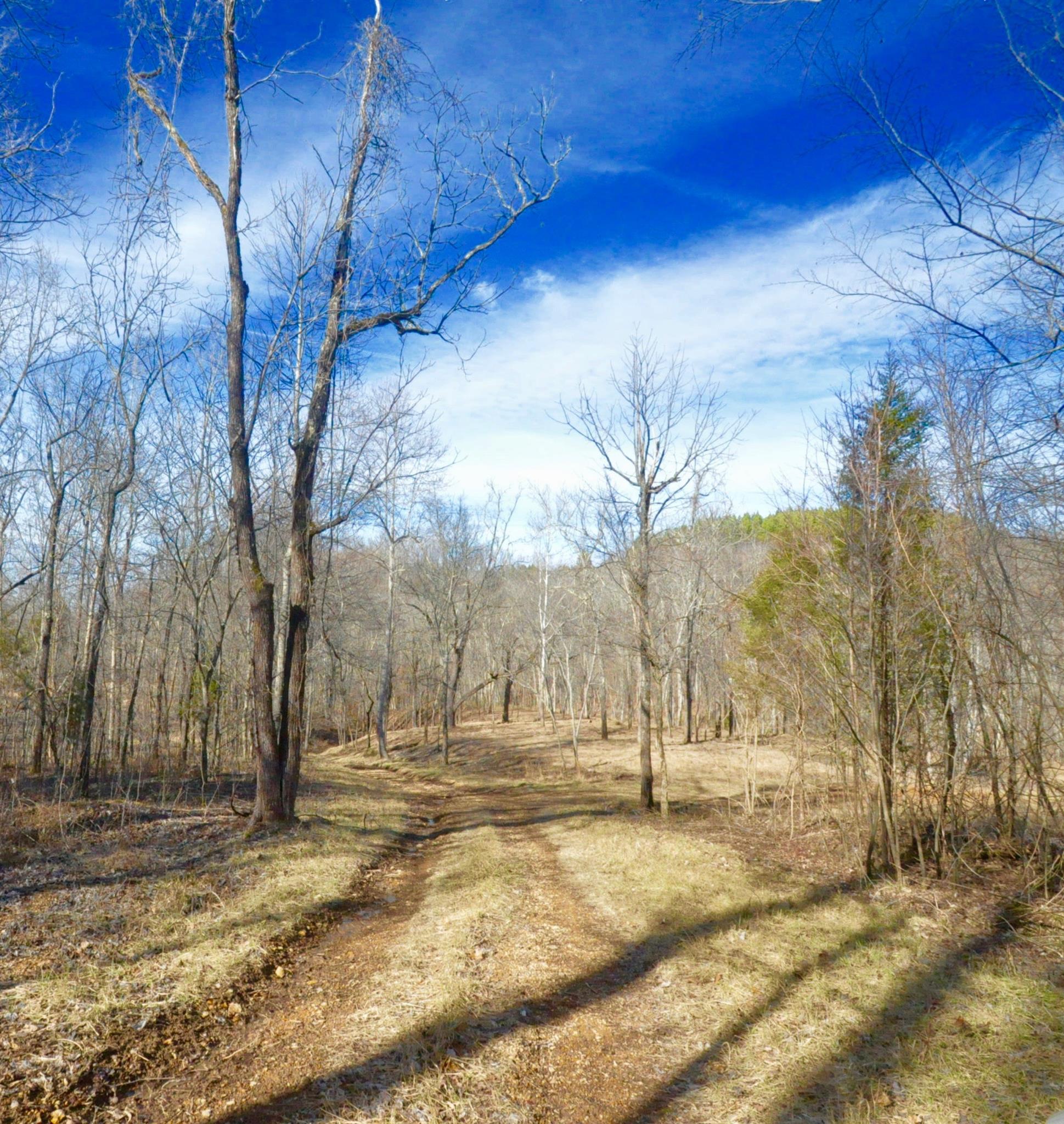 0 Raven's Ridge Road Summertown, TN 38483 - Photo 5 of 18 Gallery Image 5
