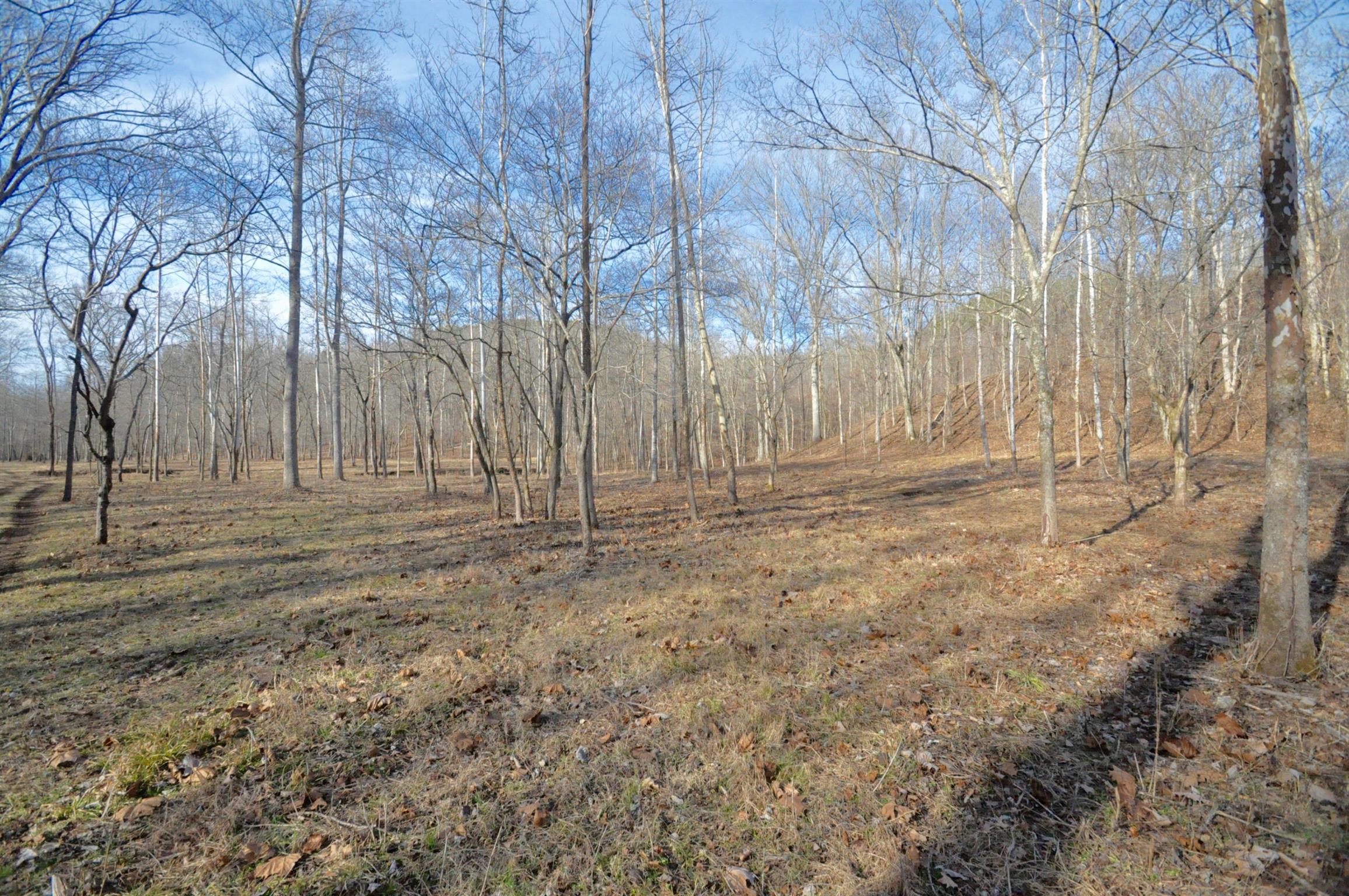 0 Raven's Ridge Road Summertown, TN 38483 - Photo 9 of 18 Gallery Image 9