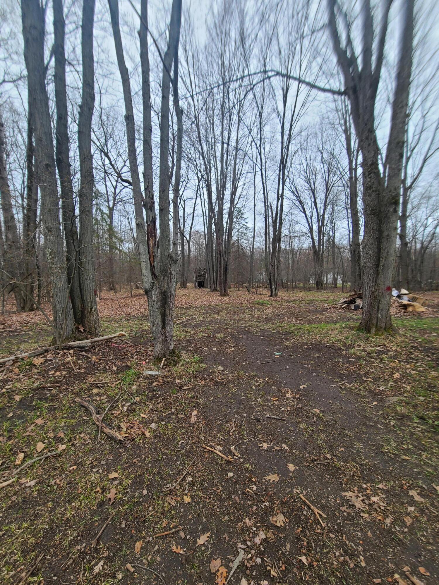 2861 School Road Roscommon, MI 48653 - Photo 17 of 17 Gallery Image 17