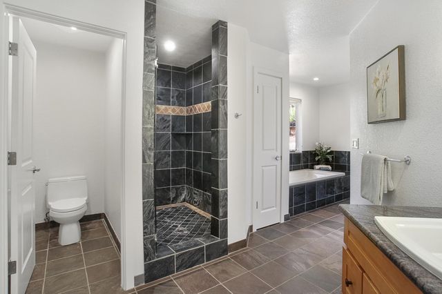 a bathroom with a granite countertop sink a toilet and shower