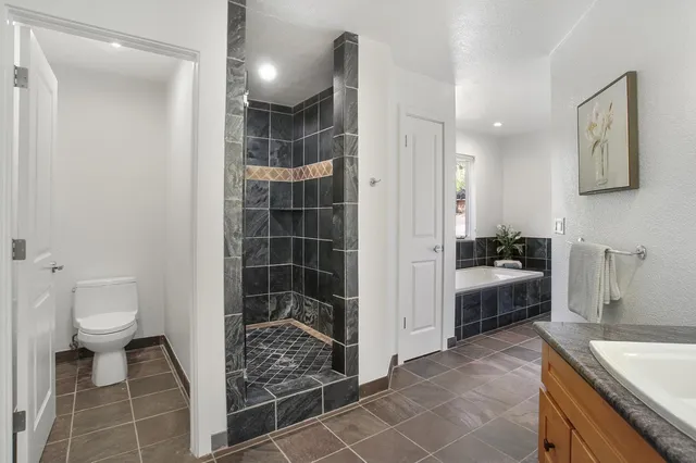 a bathroom with a granite countertop sink a toilet and shower