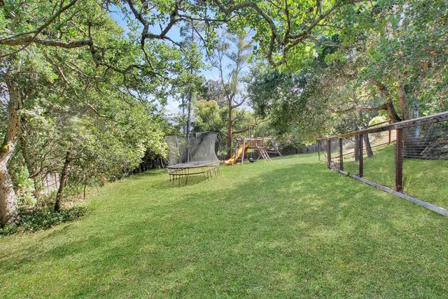 a view of a garden with trees