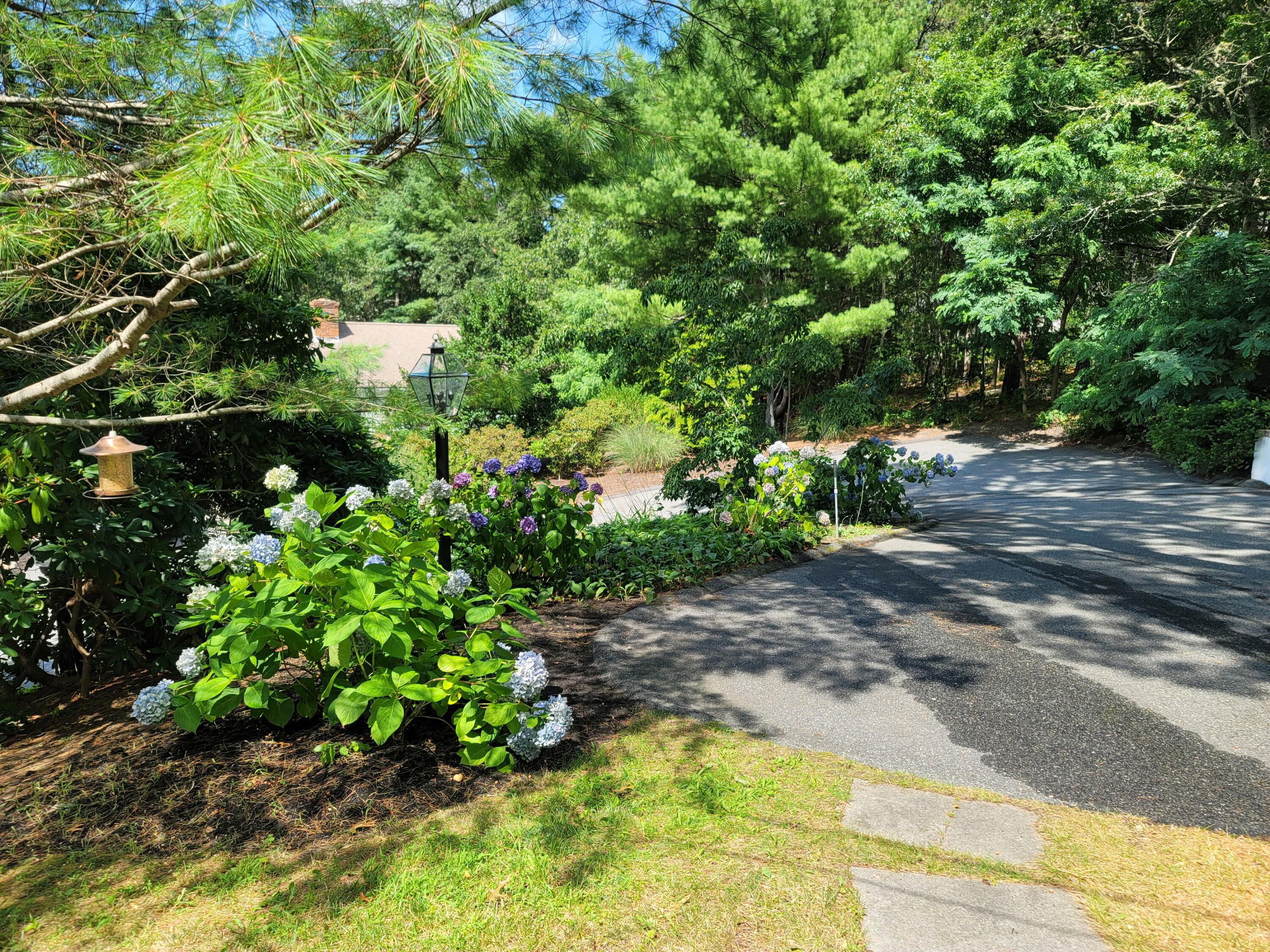 15 Old Post Road Harwich, MA 02645 - Photo 38 of 39 Driveway