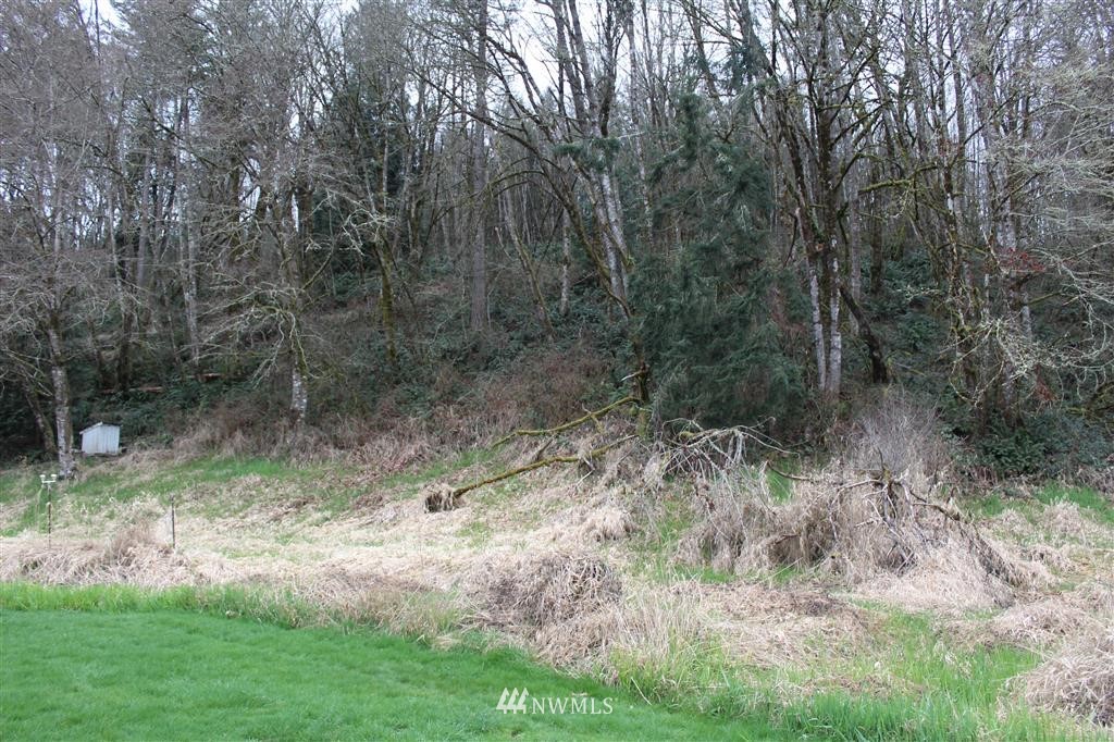 194 Reinke Road Centralia, WA 98531 - Photo 14 of 14 Gallery Image 14