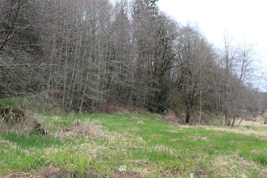 194 Reinke Road Centralia, WA 98531 - Photo 6 of 14 Gallery Image 6