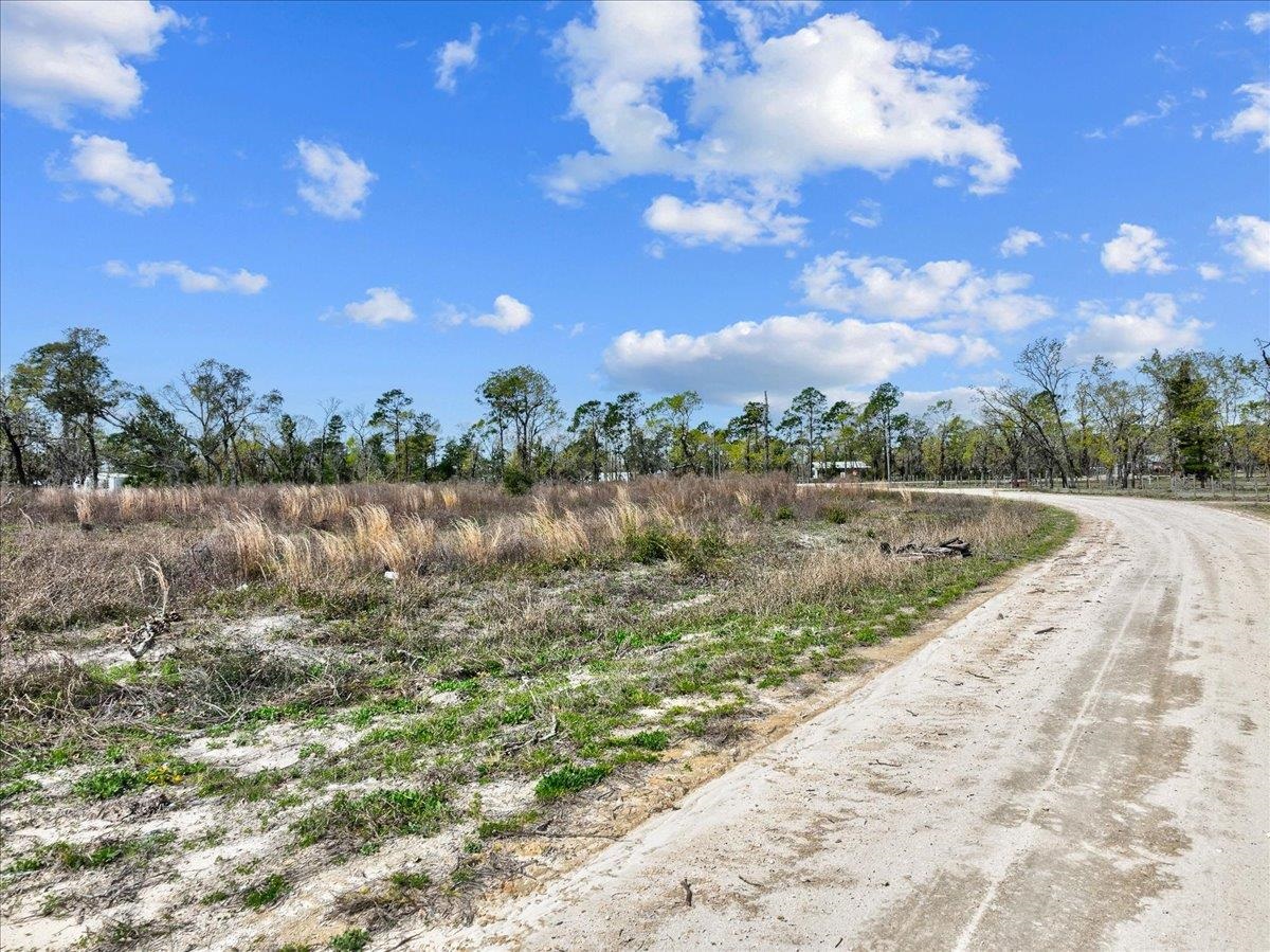 0 Sea Oaks Loop Perry, FL 32348 - Photo 11 of 27 Gallery Image 11