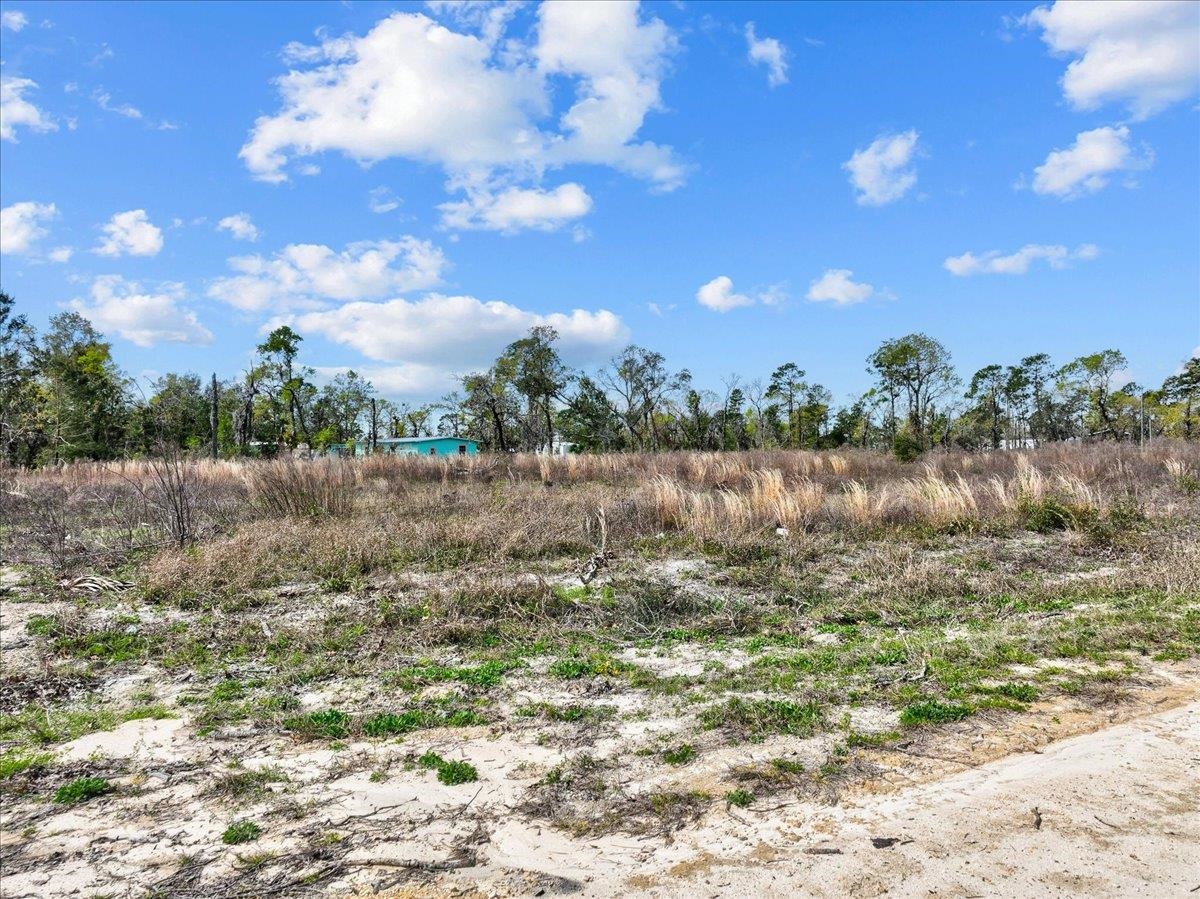0 Sea Oaks Loop Perry, FL 32348 - Photo 20 of 27 Gallery Image 20