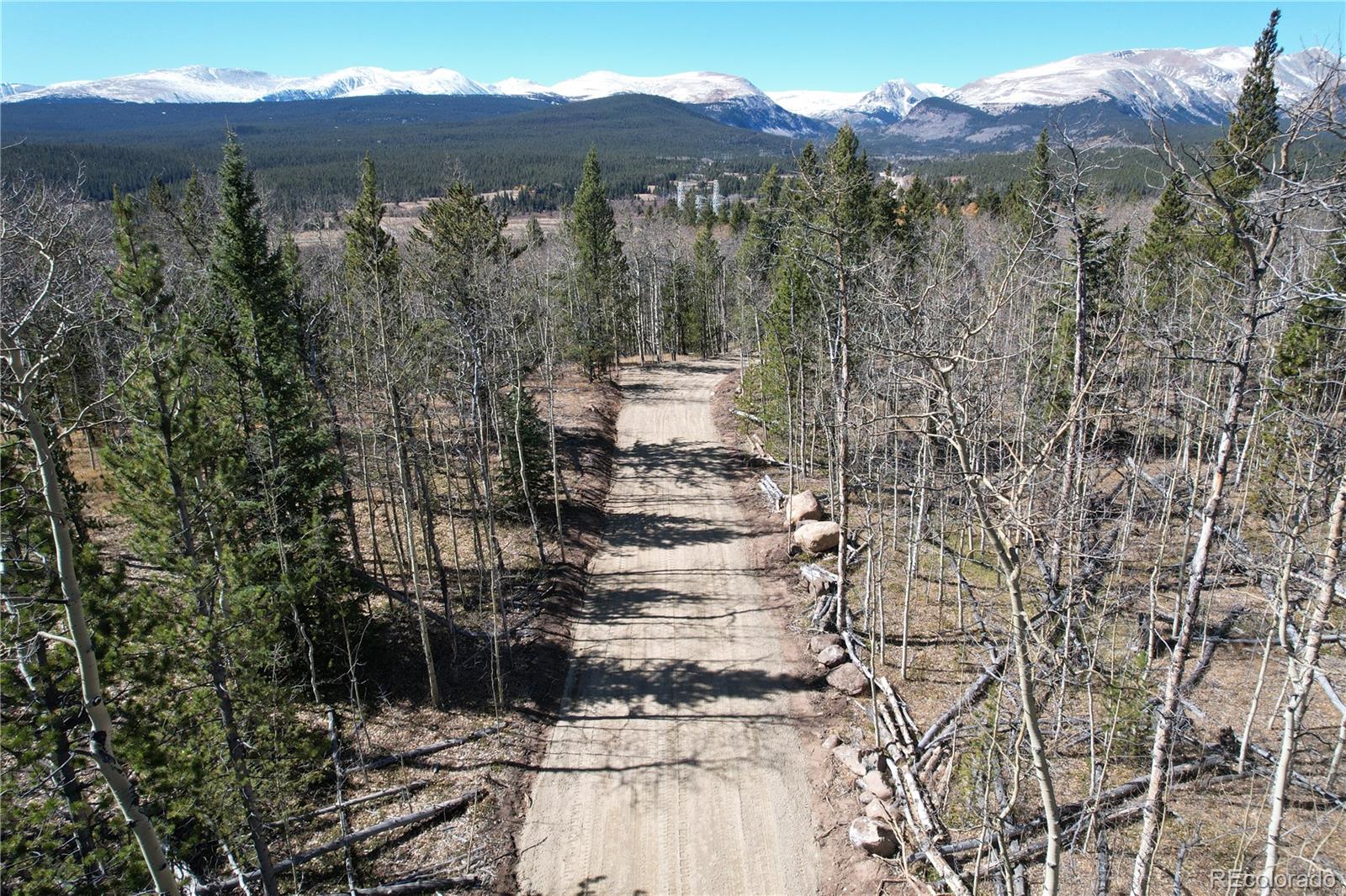99 Dead Toad Road Alma, CO 80420 - Photo 2 of 7 a view of a city with tall trees