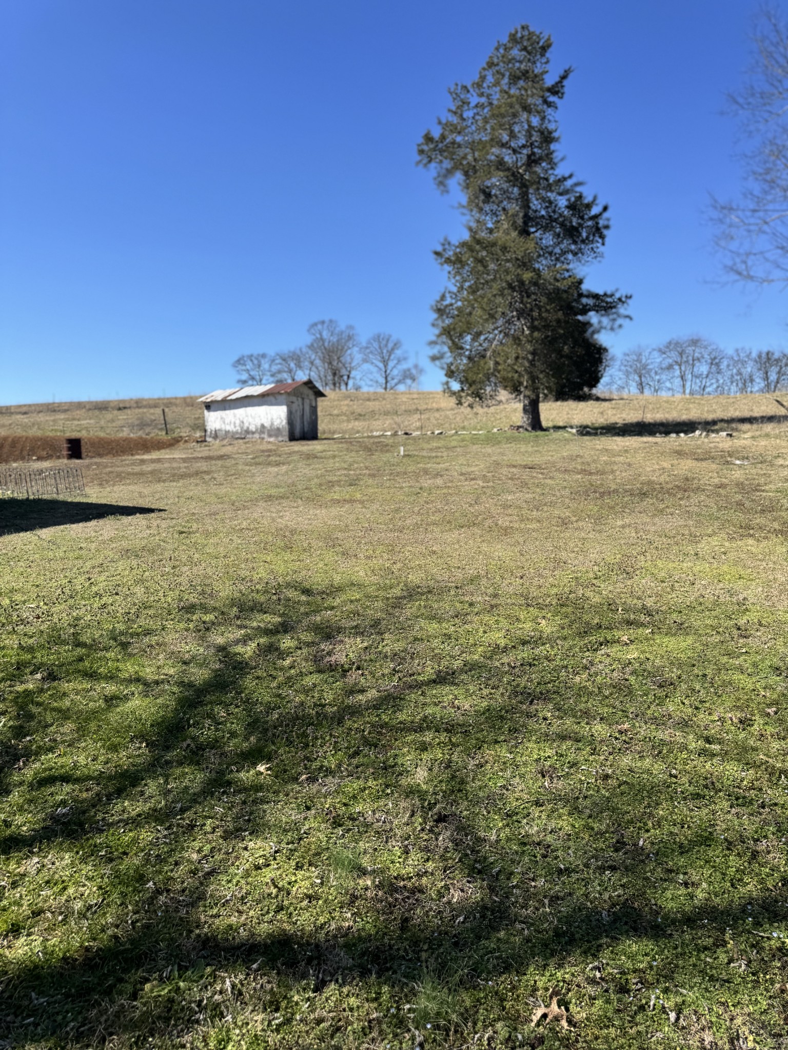 16 Beasley Bend Road Riddleton, TN 37151 - Photo 13 of 36 Gallery Image 13