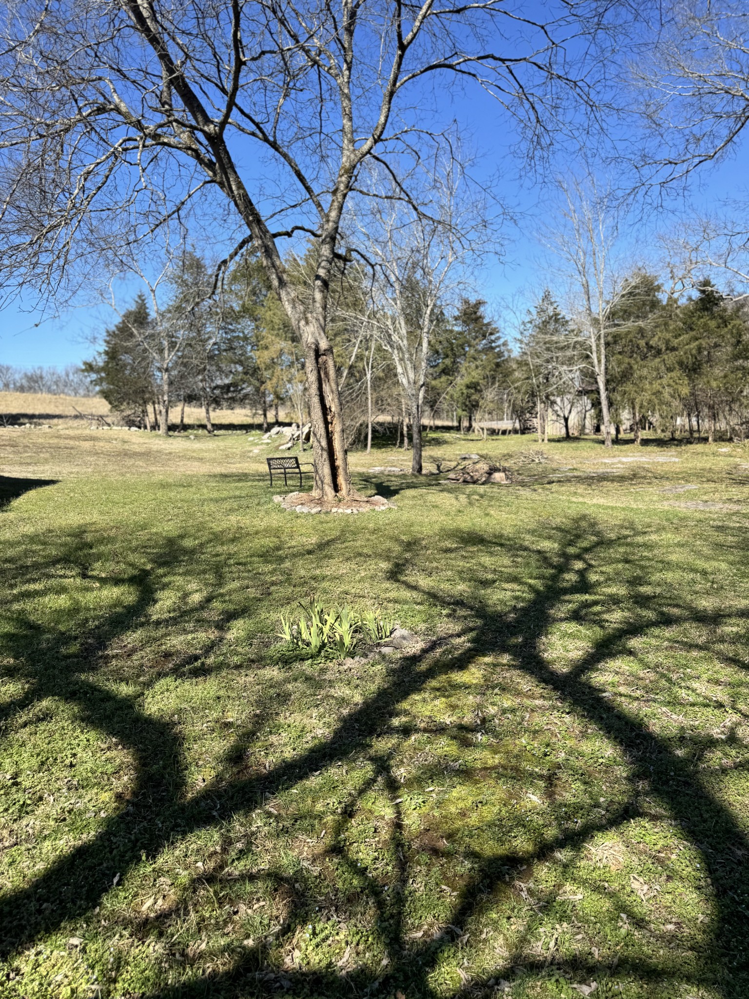 16 Beasley Bend Road Riddleton, TN 37151 - Photo 15 of 36 Gallery Image 15