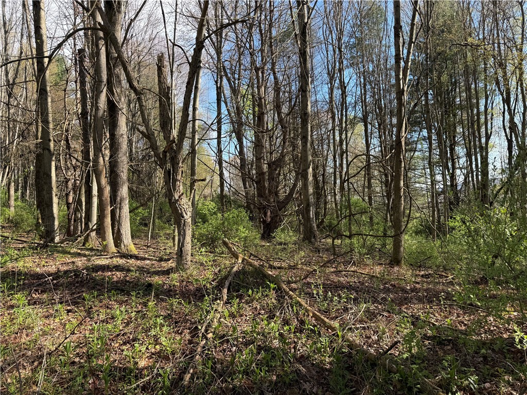 9155 Smith Road Lindley, NY 14870 - Photo 4 of 33