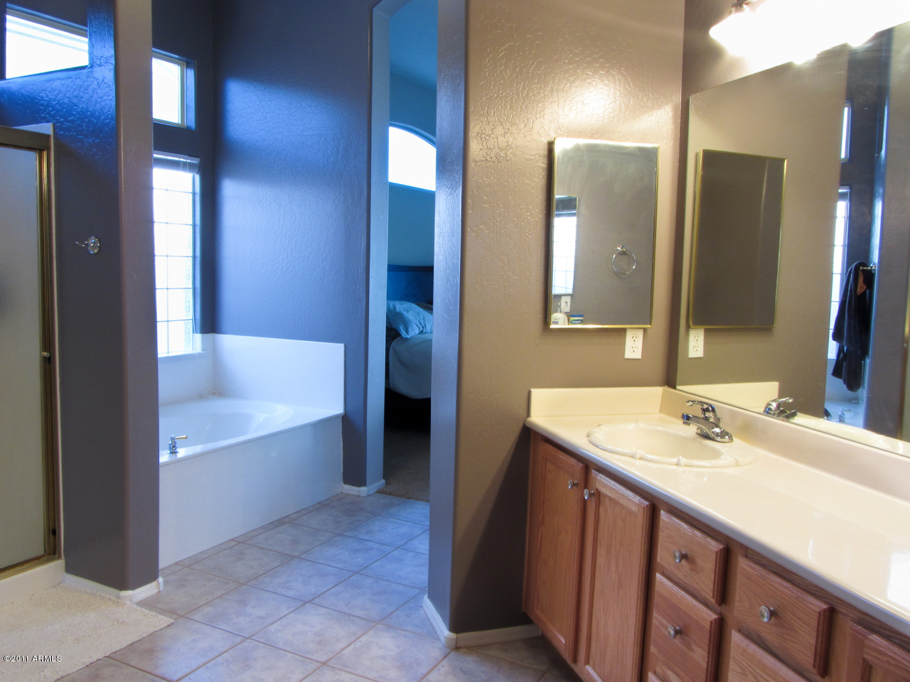 4622 East Bajada Road Cave Creek, AZ 85331 - Photo 9 of 12 Master Bathroom