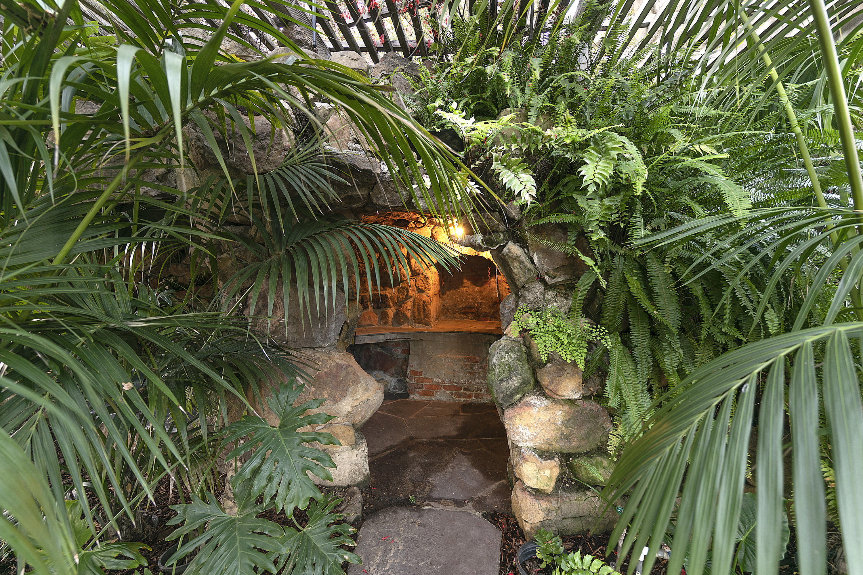 976 East Carrillo Road Santa Barbara, CA 93103 - Photo 16 of 22 a view of a plant in a garden