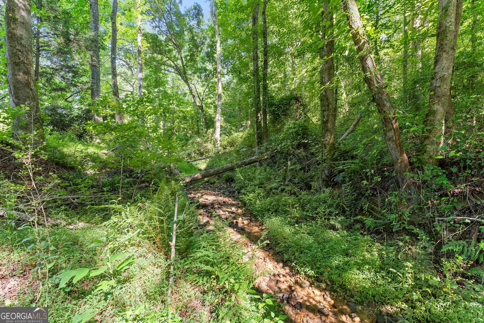 638 Hazel Creek Road Mount Airy, GA 30563 - Photo 41 of 50