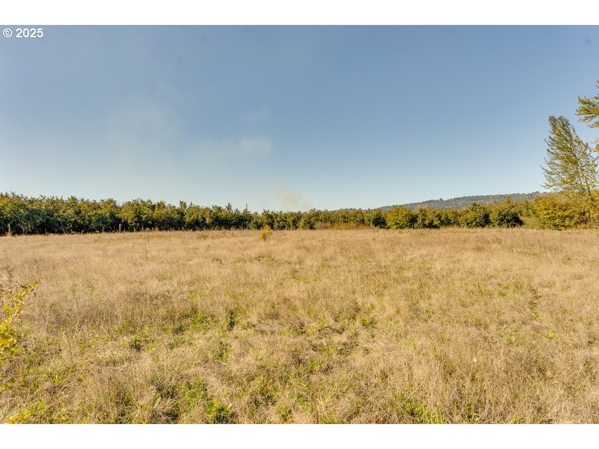 0 Northeast Cullen Road Newberg, OR 97132 - Photo 3 of 23 a view of a lake view