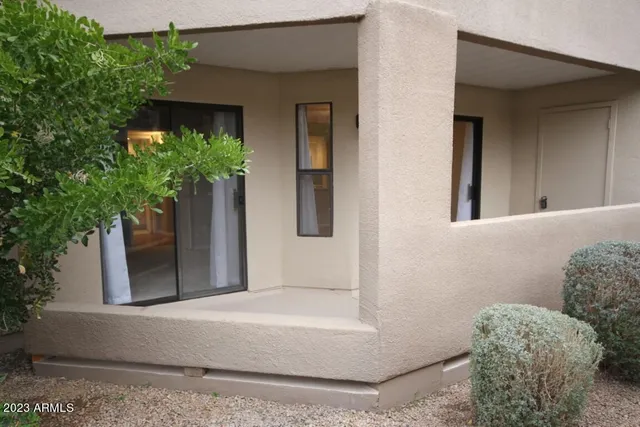 a potted plant sitting in front of a house