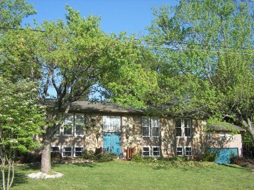Primary Photo