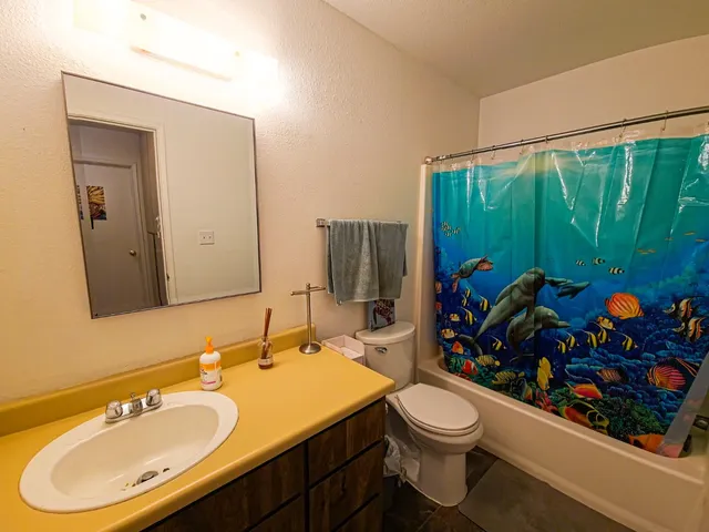 a bathroom with a sink toilet and mirror