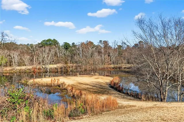 a view of a yard with trees in the background