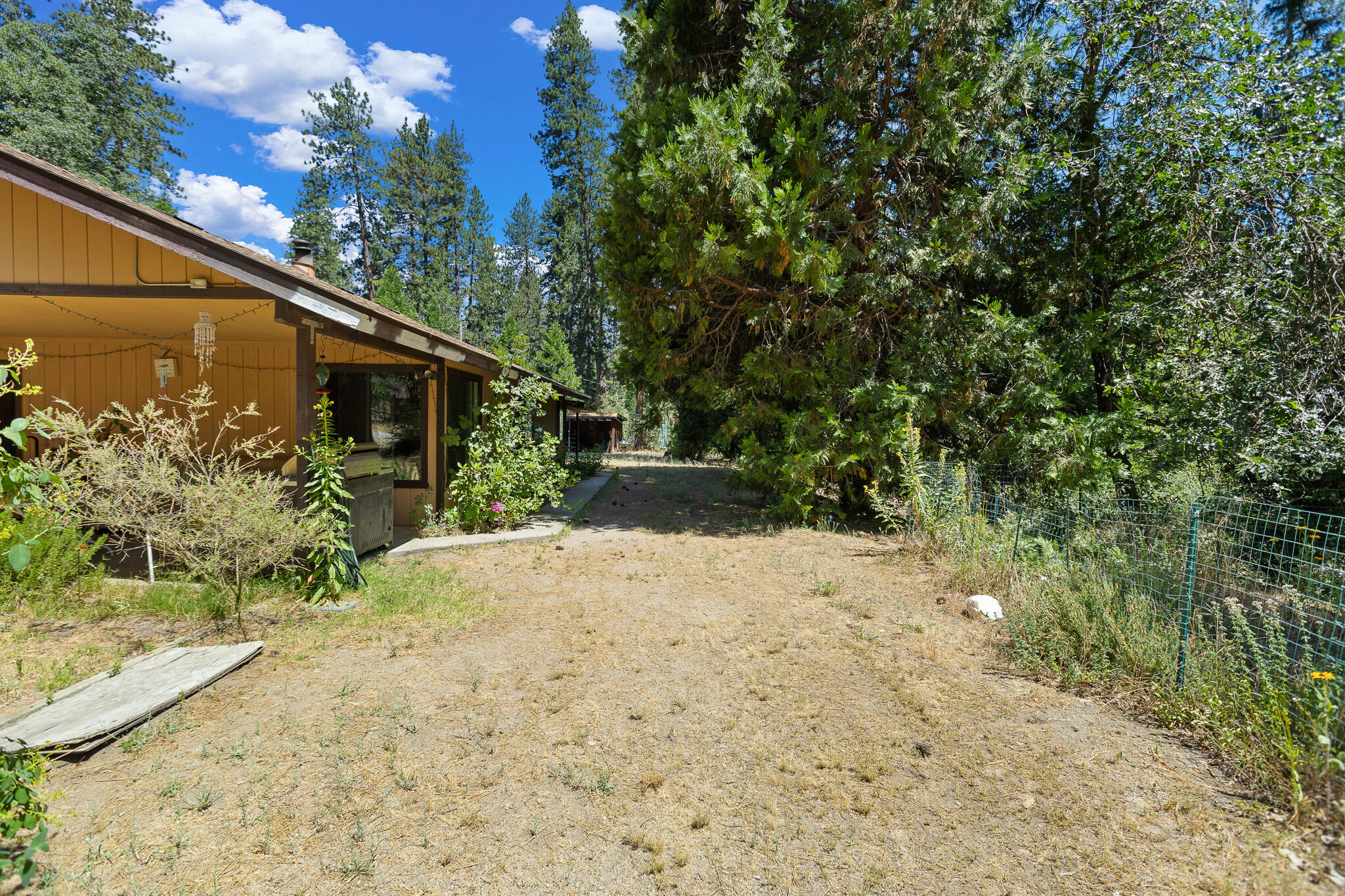 45000 Manter Meadow Road California Hot Springs, CA 93207 - Photo 24 of 38 59 Side Yard