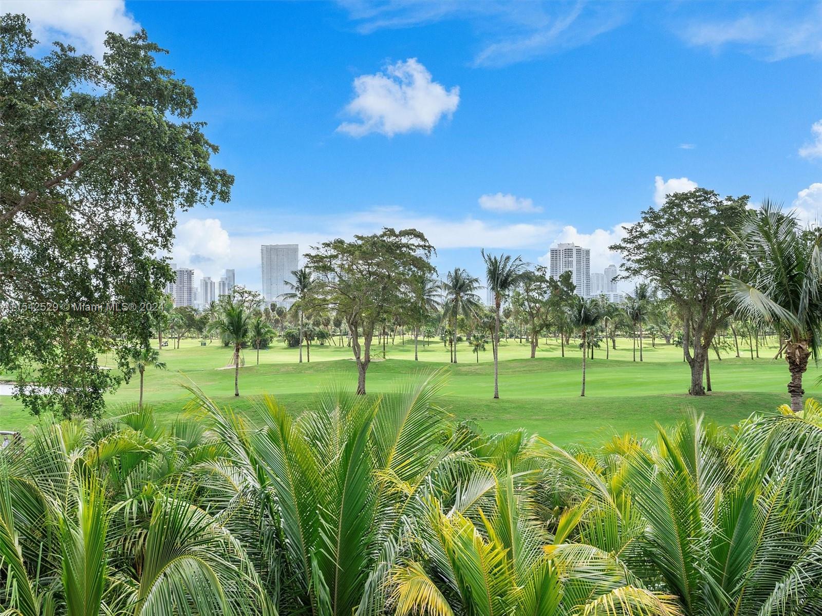 a view of a golf course with a big yard