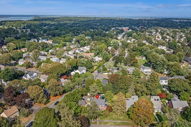 a view of a park with large trees