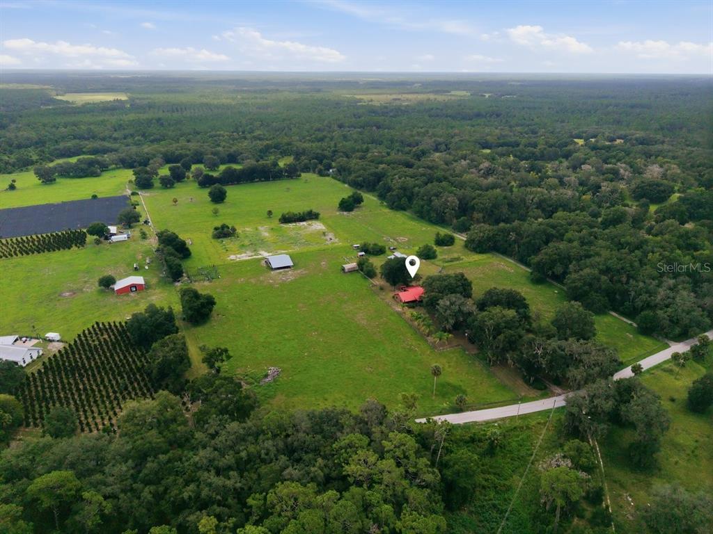 2259 Brownlee Road Seville, FL 32190 - Photo 56 of 58 Gallery Image 56