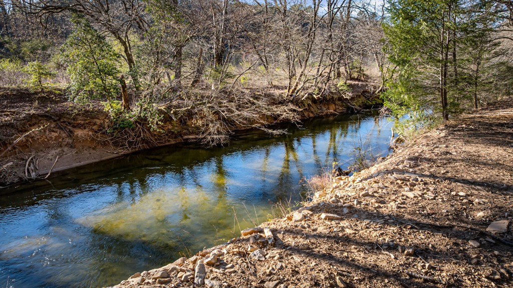 287 Cool Creek Trail Blue Ridge, GA 30513 - Photo 25 of 71 Gallery Image 25