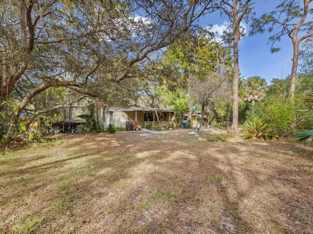 a view of a backyard with large trees