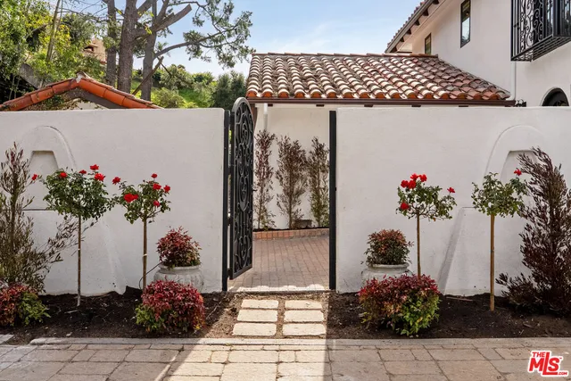 a potted plant sitting on the side of a street