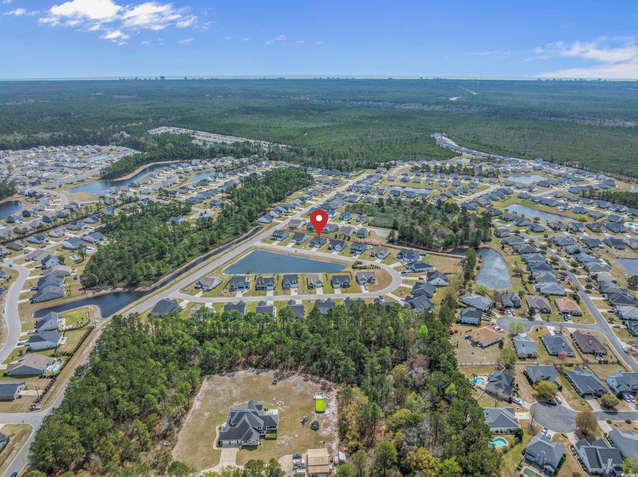 2064 Hazlette Loop Conway, SC 29526 - Photo 4 of 39 Drone / aerial view